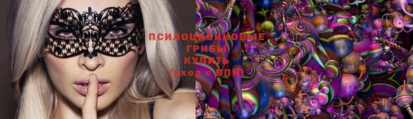 тгк Алексин