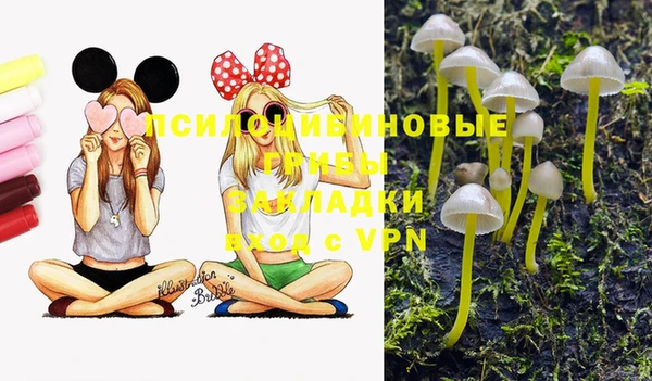 экстази Алексеевка